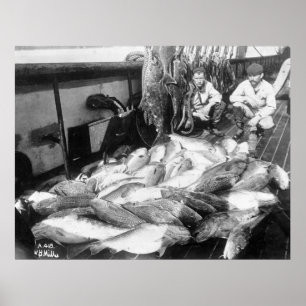  Gevist, begin jaren 1900 Poster