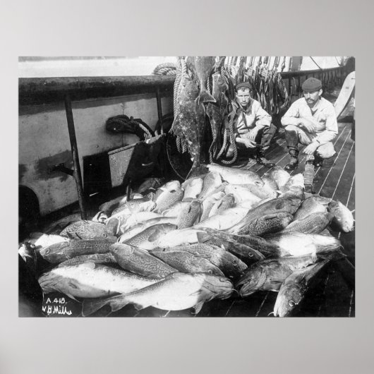  Gevist, begin jaren 1900 Poster (Voorkant)