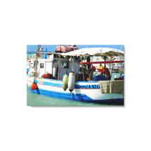 Gevist boot aan de Toscaanse kust, schilderen.