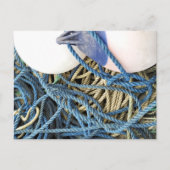 GEVIST BRIEFKAART (Voorkant)