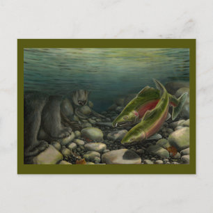 Gevist Briefkaart Beer Aangepaste zalmvis Briefkaa