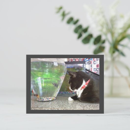 "Gevist Briefkaart" Briefkaart (Staand voorkant)