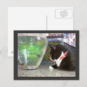 "Gevist Briefkaart" Briefkaart (Voorkant / Achterkant)