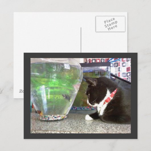 "Gevist Briefkaart" Briefkaart (Voorkant / Achterkant)