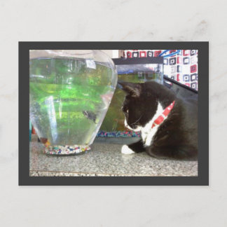 "Gevist Briefkaart" Briefkaart