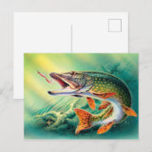  Gevist briefkaart van schattige vis (Voorkant / Achterkant)