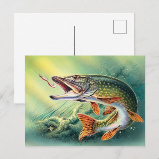  Gevist briefkaart van schattige vis (Voorkant / Achterkant)