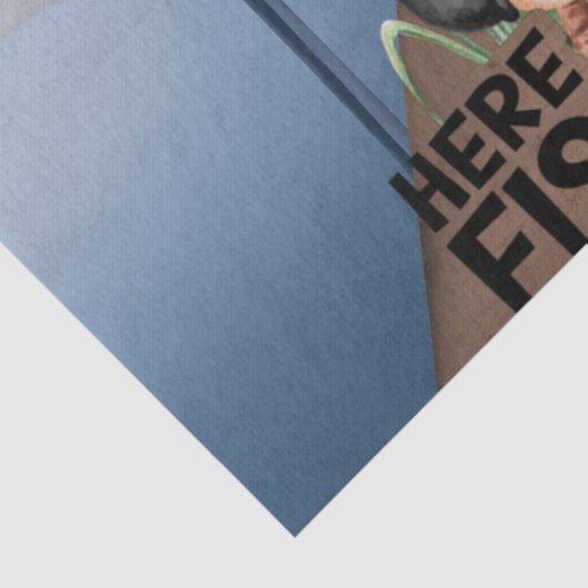 Gevist Gnome "here Fishy Fishy"-loskoppeling Tissuepapier (Detail)