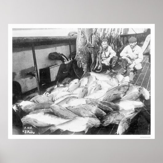 Gevist in Alaska 1922 Poster (Voorkant)