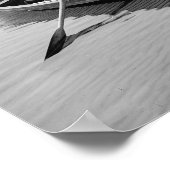 Gevist in de Adirondacks, 1903.  foto Poster (Hoek)