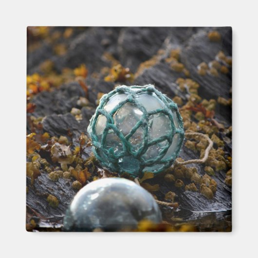 Gevist in getijdepoel, Alaska Magneet (Voorkant)