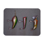 Gevist Lure Magnet Magneet (Horizontaal)