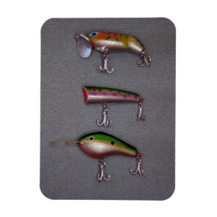 Gevist Lure Magnet Magneet