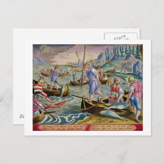 Gevist met nesten en stammen in de baai van Napel Briefkaart (Voorkant / Achterkant)