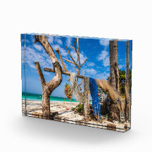 Gevist netten die op het strand drogen