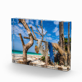 Gevist netten die op het strand drogen fotoblokken