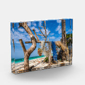 Gevist netten die op het strand drogen fotoblokken (Links)