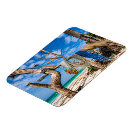 Gevist netten die op het strand drogen magneet