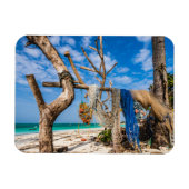 Gevist netten die op het strand drogen magneet (Horizontaal)