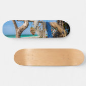 Gevist netten die op het strand drogen persoonlijk skateboard (Horizontaal)