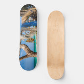 Gevist netten die op het strand drogen persoonlijk skateboard (Voorkant)