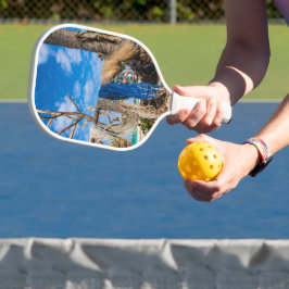 Gevist netten die op het strand drogen pickleball paddle