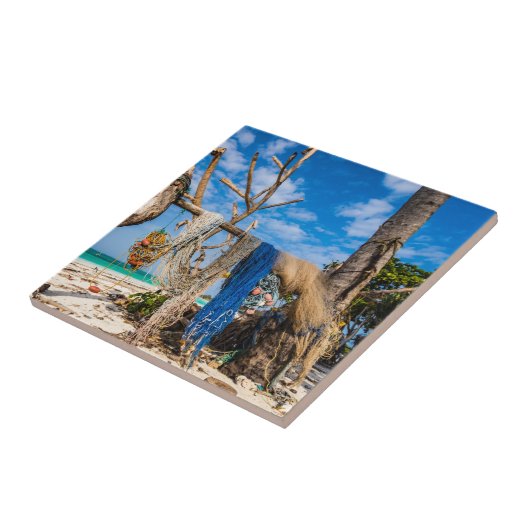 Gevist netten die op het strand drogen tegeltje (Zijkant)