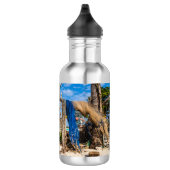 Gevist netten die op het strand drogen waterfles  (Rechts)