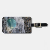 Gevist, omringd door Surf Bagagelabel (Voorkant horizontaal)