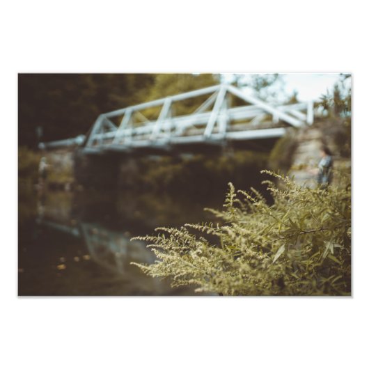 Gevist onder de brug foto afdruk (Voorkant)