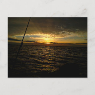 Gevist op Sunset Briefkaart