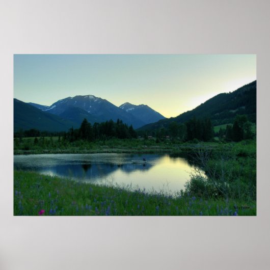 Gevist op Sunset Poster (Voorkant)