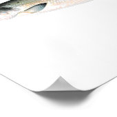 Gevist poster - Atlantische zalmvis (Hoek)