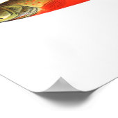 Gevist poster - Canadese rode forel Mannelijke vis (Hoek)