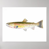 Gevist poster - Rakkergebergte - forel vis (Voorkant)