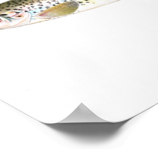 Gevist poster - Zalmforel Vis (Hoek)