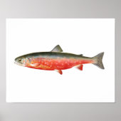 Gevist poster - Zonneforel (Voorkant)