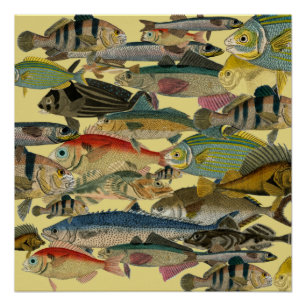 Gevist visser diep Zee Vist exotisch tropisch Perfect Poster