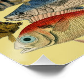 Gevist visser diep Zee Vist exotisch tropisch Perfect Poster (Hoek)