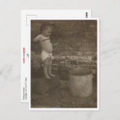 Gevist voor walvis briefkaart (Voorkant / Achterkant)