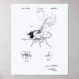 Gevist Witboek Patent Art uit 1968 Poster