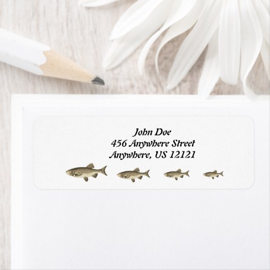 GEVISTE ADRESETIKETTEN ETIKET (Insitu)