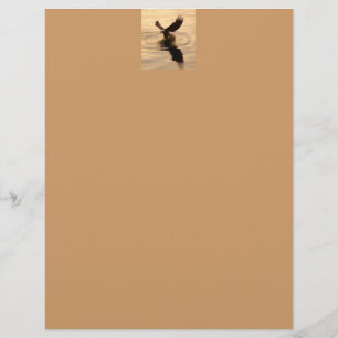 Geviste Bald Eagle over Tan Wildlife Paper