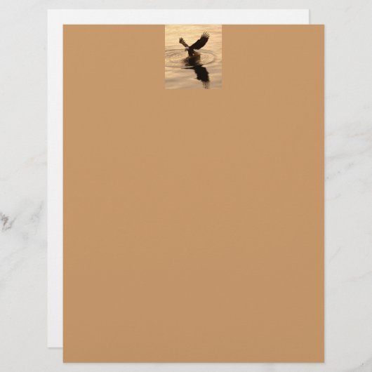 Geviste Bald Eagle over Tan Wildlife Paper (Voorkant / Achterkant)