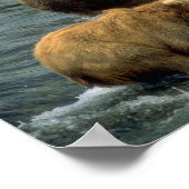 GEVISTE BEREN 1 POSTER (Hoek)