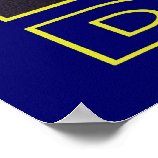 Geviste forel poster (Hoek)