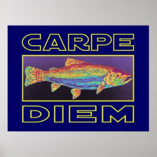 Geviste forel poster