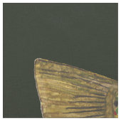 Geviste forel stof (Close Up)