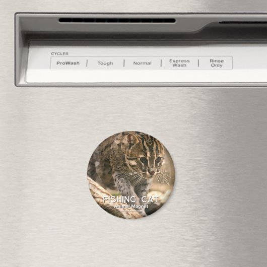 Geviste kat magneet (Insitu (Vaatwasser))