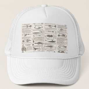 Geviste Lures Adverteren de visserij Trucker Pet